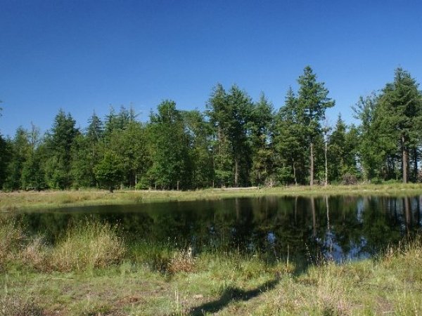 Plaatselijk nationaal park