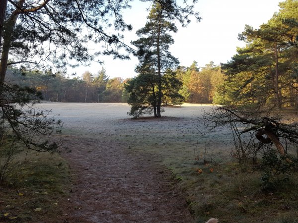 Genoeg ruimte om te wandelen met de hele familie...