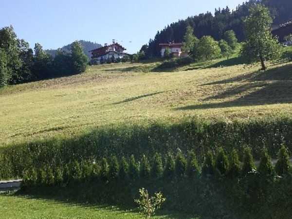 Uitzicht vanuit tuin