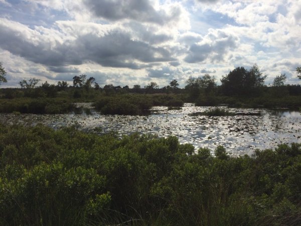 Malpi, een mooi natuurgebied vlakbij Borkel en Schaft