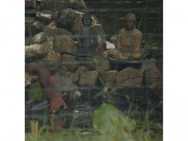 In de tuin van alles te beleven en te zien