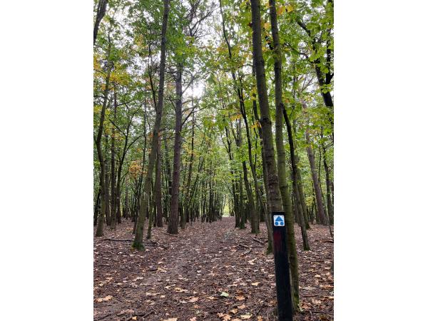 Mountainbike route achter Boshuis Eersel